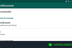 Cómo personalizar las notificaciones de WhatsApp para diferentes contactos