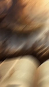 Episode 149： 3 spirutual doors you need close today #Bible #Christianity #Jesus #God #faith #prayer #foryoupage #reelsviral #fbreelsvideo #usa #reelsfb #reelsvideoシ #fyp #trendingreelsvideo #reelschallenge #UnitedStates | Hidden Gems