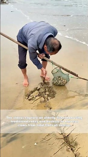 Tide to Table: The Ancient Art of Clam Digging