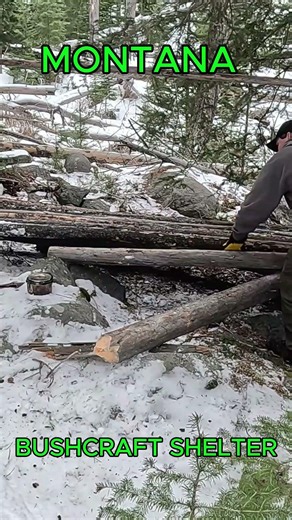 Bushcraft Shelter Build (Visit from Wolves) #survival
