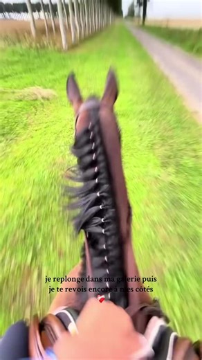 ❤️‍🩹❤️‍🩹