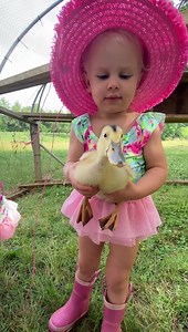 658K views · 171K reactions | Ducklings bath time  | CookingwithSammy | Facebook