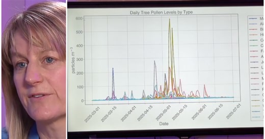 Breaking down the blind spots of pollen counting as we kick off allergy season