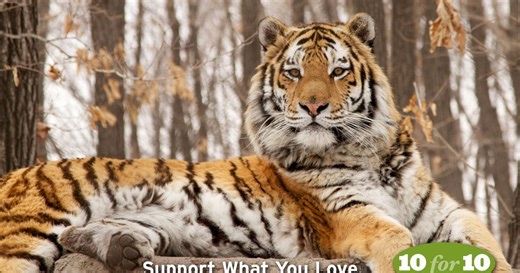 KCTS 9:Support What You Love in July: Science and Nature | KCTS 9