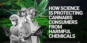 How Science is Protecting Cannabis Consumers from Harmful Chemicals | Cannabis Sciences