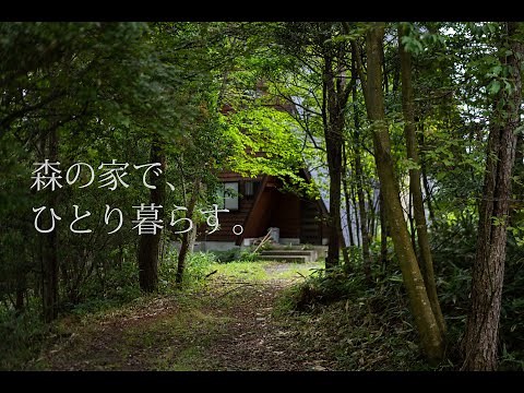 森の中にある古民家でひとり田舎暮らし。はじまり。#1