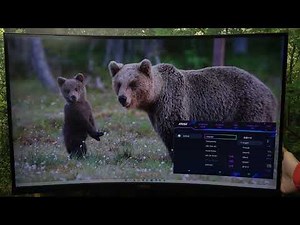 MSI MAG 321CUP Factory Reset | Restore Your Monitor to Default Settings Easily