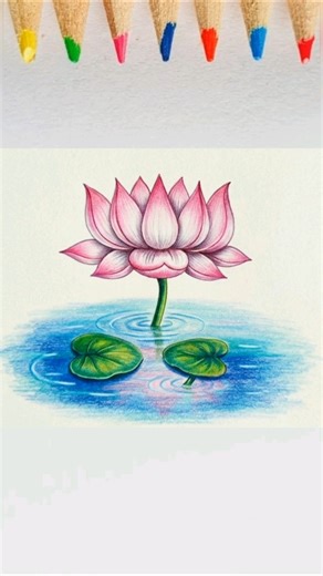 Lotus Drawing|| How to Draw Lotus Easy|| Lotus Drawing for Beginners