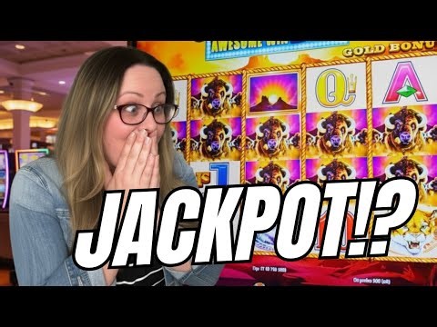I Completely Lost It When THIS Bonus Dropped a HUGE Win! 🤯