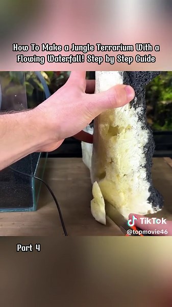 In this video I’ll show you how to make a terrarium that has a working waterfall! I’ll take you though the step by step process of building a nano slice of nature and explain each step as I go. After watching this tutorial you’ll be able to create a mini waterfall terrarium of your own! Enjoy the video:) #decor #serpadesign #ecosystem #aquatic #vivariumbl