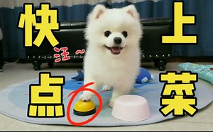 快点上菜，铲屎官
