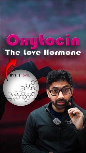 Oxytocin — The Connection Chemical