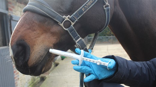 We must change how we worm our horses before it is too late, say experts
