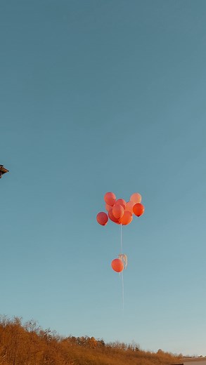 6.9K views · 1.4K reactions | Gender Reveal-Part 2 Nu puteam să nu vă arăt și continuarea acestui clip, comentariile și observațiile băieților, care consideră că avem, deja cam mulți băieți în familia asta  Eu zic că nu aveam suficienți băieți pentru o echipă de fotbal, așadar mai avem nevoie de încă minim 4, nemaipunând la socoteală rezervele | Acasa.cu.Luna | Facebook