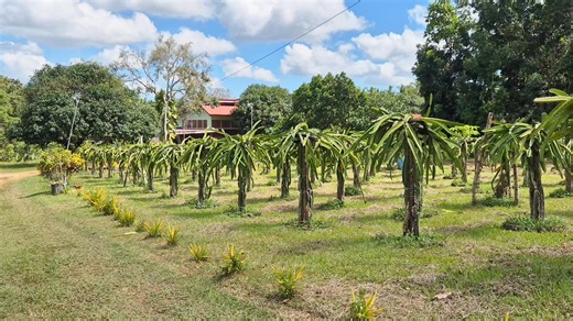 3.1K views · 79 reactions | Another developing farm joins the...