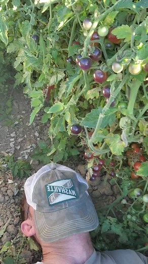 4.3K views · 110 reactions | Living the DREAM ✌️ | Wild Boar Farms | Facebook