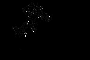 Corporate Bulk Gifting - Premium Eco-Friendly Hampers | Bare Necessities