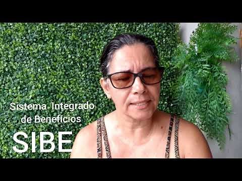 💚Seu requerimento chegou no SIBE ? O que acontece a partir da aí? Enteda