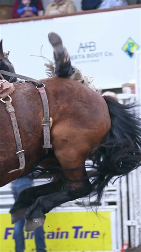Taking the scenic route off the ride… #broncs #innisfail