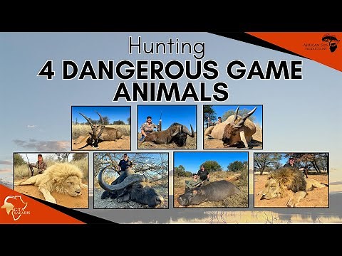 Hunting Dangerous and Big Game with GTA Safaris