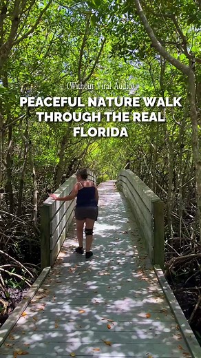 Enjoy a Nature Walk at Four Mile Cove Eco Preserve