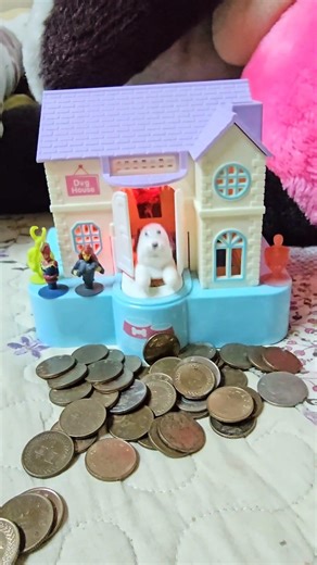 PUPPY'S LITTLE BANK HOUSE #SHORTS #ASMR #AMAZING #TRENDING #VIRAL #YOUTUBESHORTS #SATISFYING #CUTE