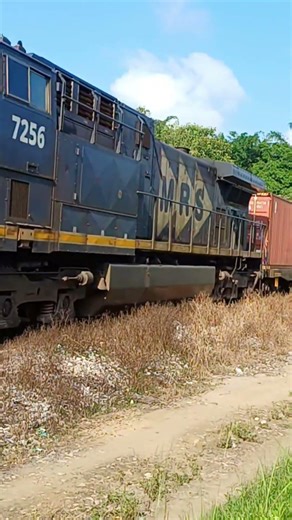 MRS Logistica - Dupla de AC44i formação elefante no KVR em Carlos Sampaio - Nova Iguaçu - RJ