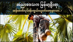 6.5K views · 511 reactions | ကျေးလက်ဒေသရဲ့...
