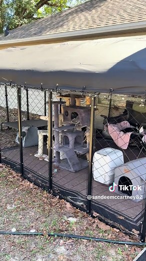 DIY Catio with Smart Panel Design