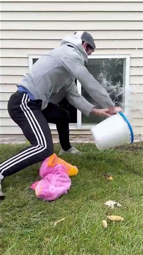 most viewed short #best #funny #best #lifeisbutadream #comedy
