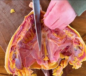 7.6K views · 194 reactions | Roasted GUINEA FOWL in Wilderness Snowy Mountains Relaxing Cooking | Village Roasting | Facebook