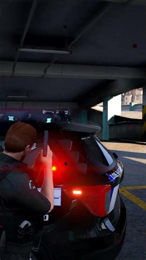LSPDFR GTA5 police #gta #police #fivem