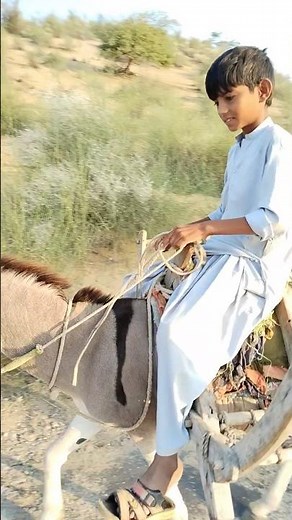 Boy Riding a Donkey in the Countryside 🐴 | Simple Village Life"**#Rurallife