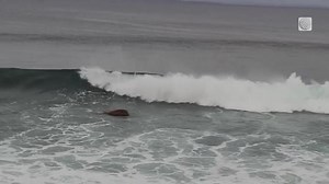 Big waves on the southern shore of Conception Bay