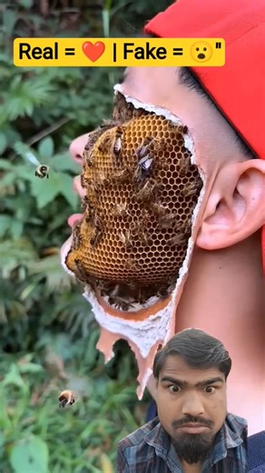 ijharSurvival Skills🇬🇧🤯♥️: Useful and Clever #outdoors​ #survival​ #campfire​ #bushcraft​