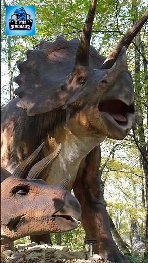 Triceratops Dinosaur Roar and Scream: A Raw and Powerful Encounter