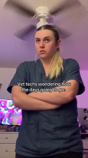 A Day in the Life of Vet Techs: Humor and Insight