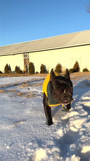 Kip's Recovery Journey from Paralysis | A Story of Hope and Resilience