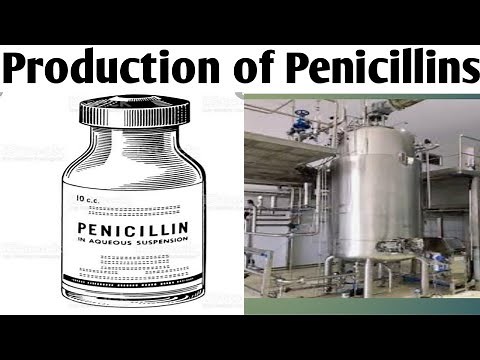 Production of Penicillin| Biotechnology| Unit 5 | B. Pharm 6 Sem #productionofpenicillins