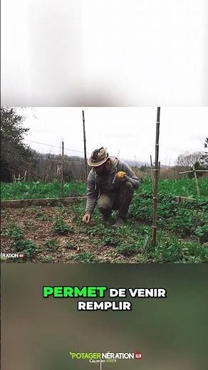 🧅 Plante tes bulbilles d’oignons comme ça ! Récolte XXL