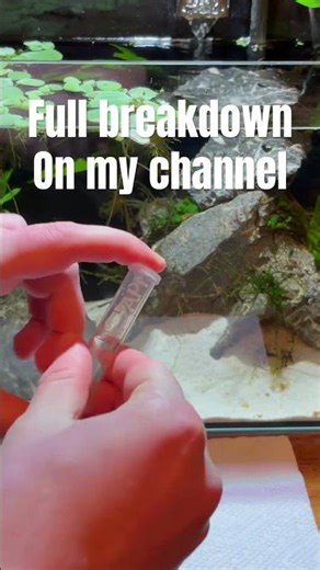 Test Strips Vs Test Kit