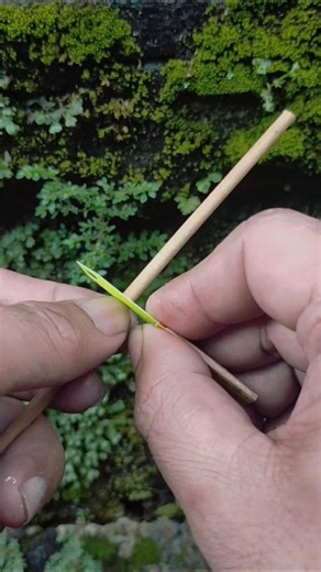 Hook Tying Tutorial Fishing HookTying Methods