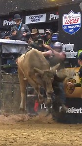 Nothing smooth about this ride atop Smooth Over It. | PBR