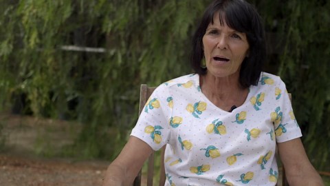 ALL ABOUT BLUETICK COONHOUND