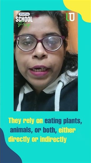 What Are Heterotrophs? Simple Explanation for Students | WisePrep