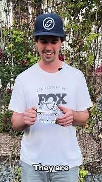 Introducing the Race Face Turbine Pedals! #mtb