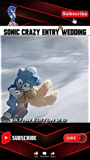 Sonic Crazy Wedding Entry ☠️🔥 #trending #entertainment #viralvideos #sonicthehedgehog
