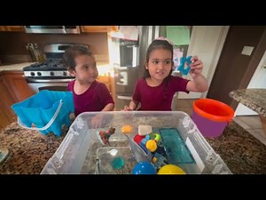 Sink or Float? Science Videos for kids with Armine and Adina.
