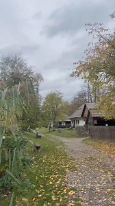 5.9M views · 14K reactions | În trecut, casele erau mai mici ,dar sufletele oamenilor, erau pline de liniște și bucurie. | Aurel Cazan | Facebook