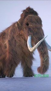 Can science bring back animals from extinction?